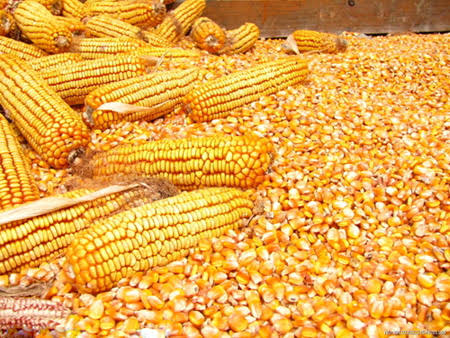 Murari Mohan Traders photo 4